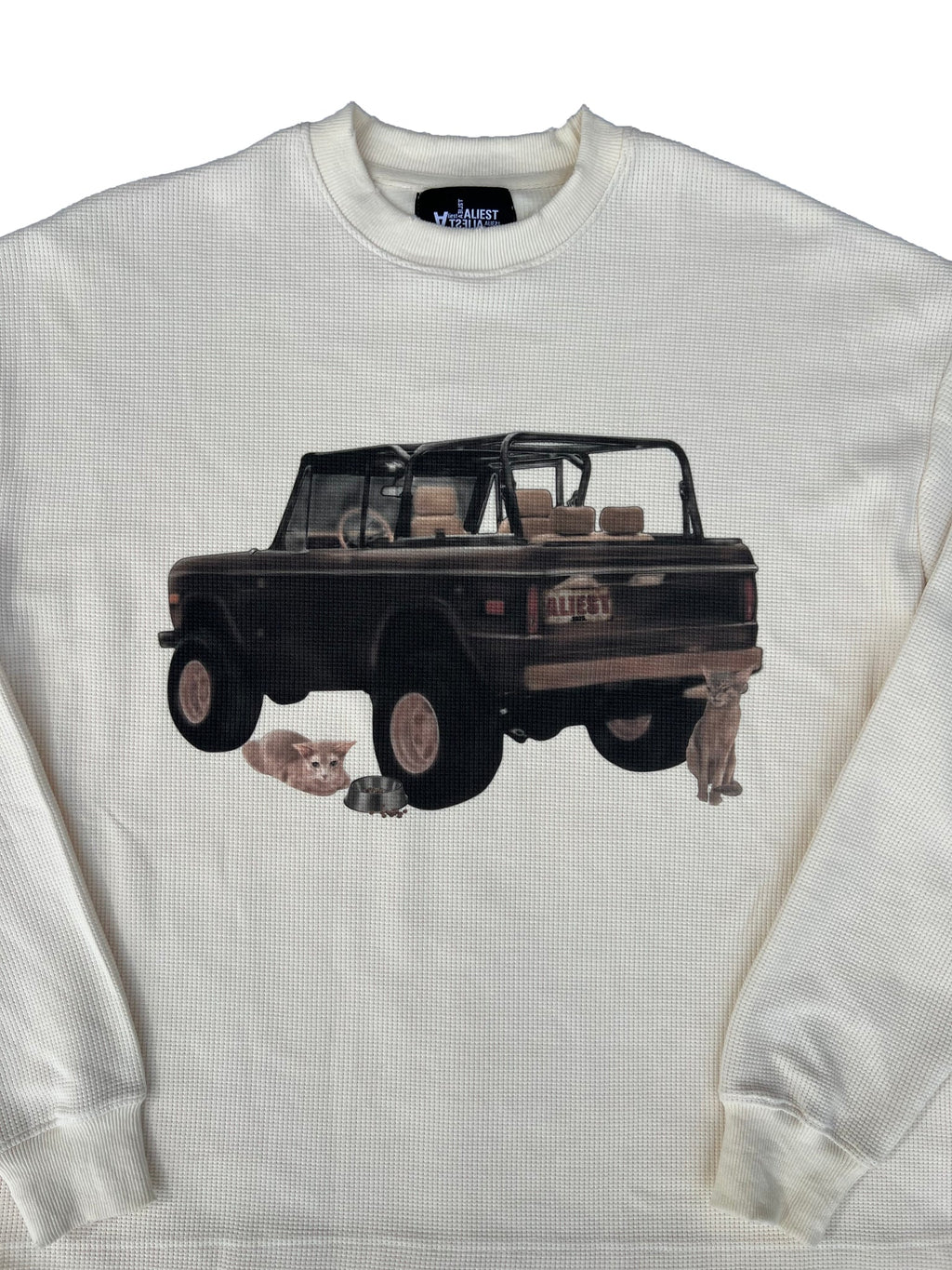 Aliest Stray Cat Thermal Longsleeve