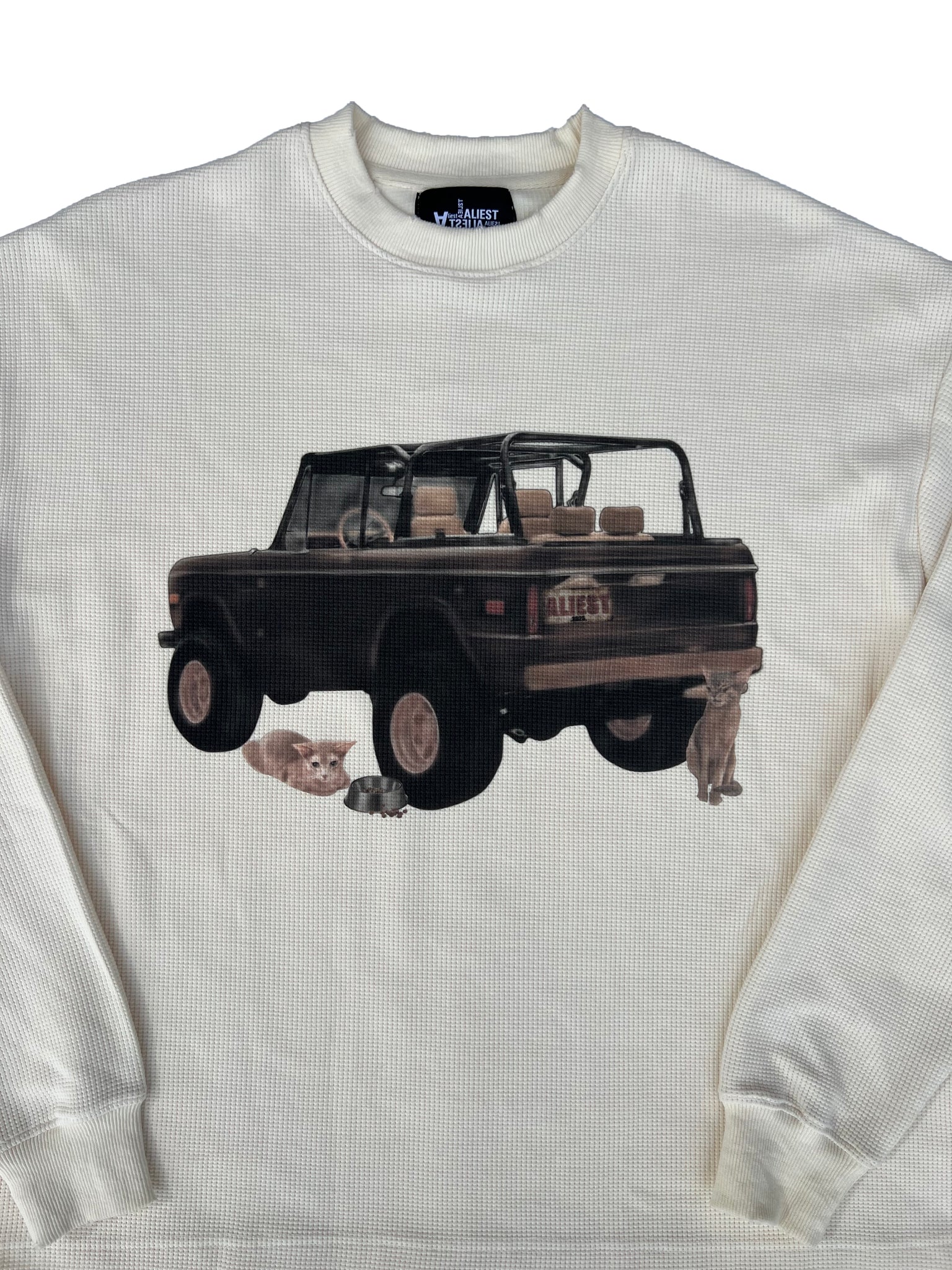 Aliest Stray Cat Thermal Longsleeve
